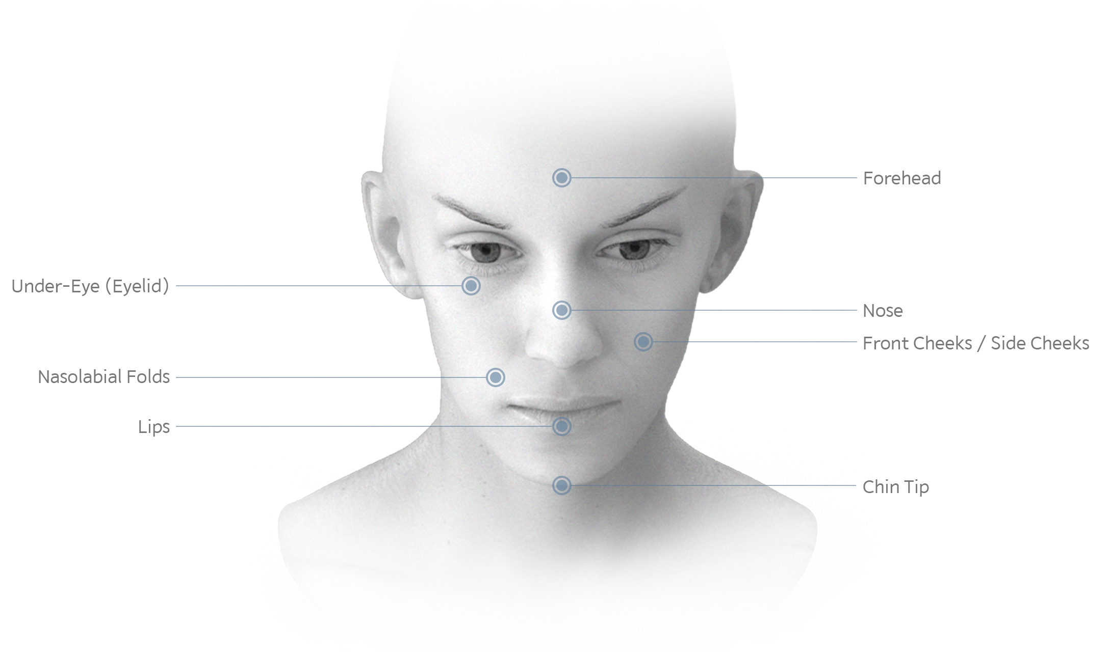 345 Plastic Surgery where natural. Woman's face showing forehead, nose, cheeks, lips, chin tip, and under-eye for plastic surgery.