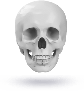 3D render of a human skull