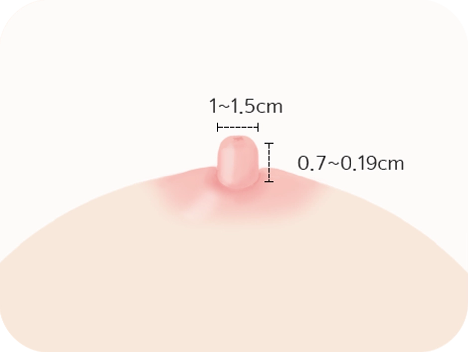 Nipple dimensions for 345 plastic surgery where natural breast augmentation.