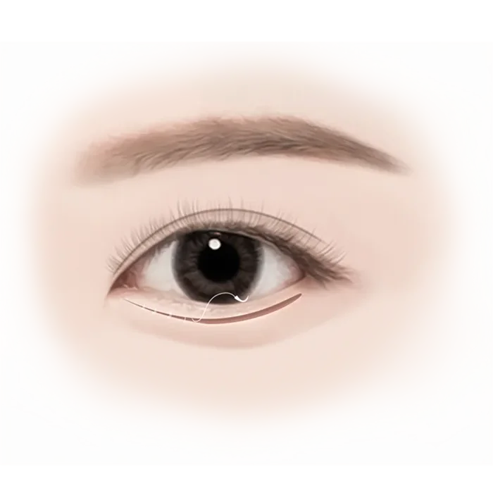Illustration of a detailed human eye