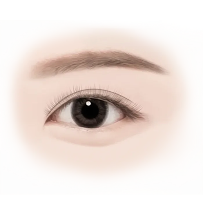 Detailed drawing of a human eye