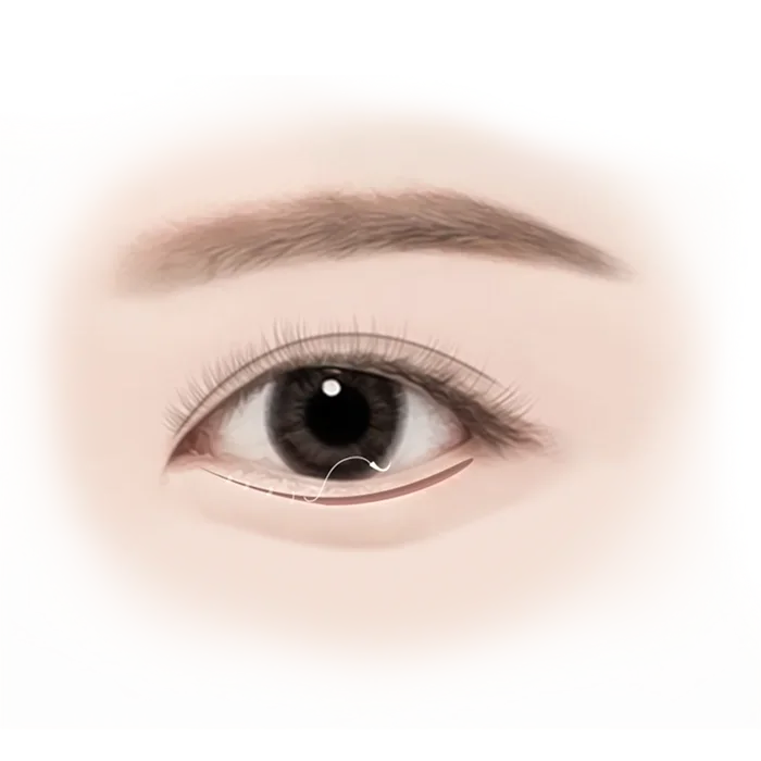 Illustration of a human eye with eyebrow.